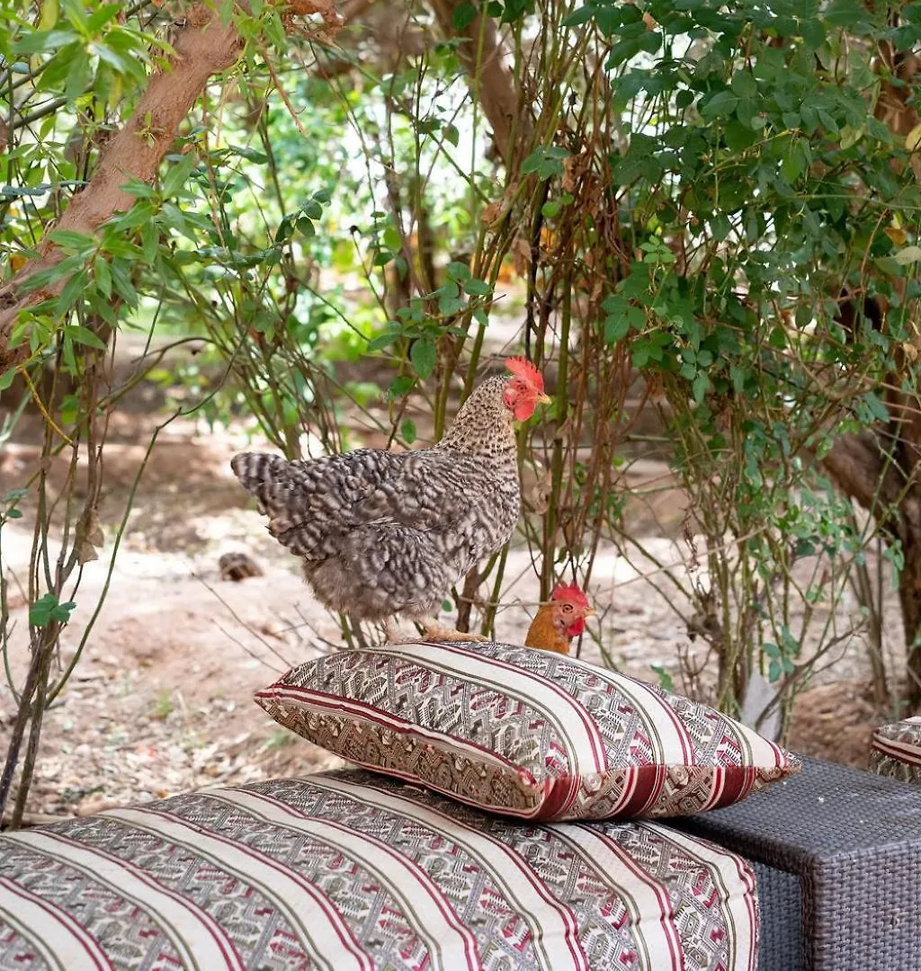 La Ferme Des Tipis Marrakech Hotel Marrakesh Luxury tent